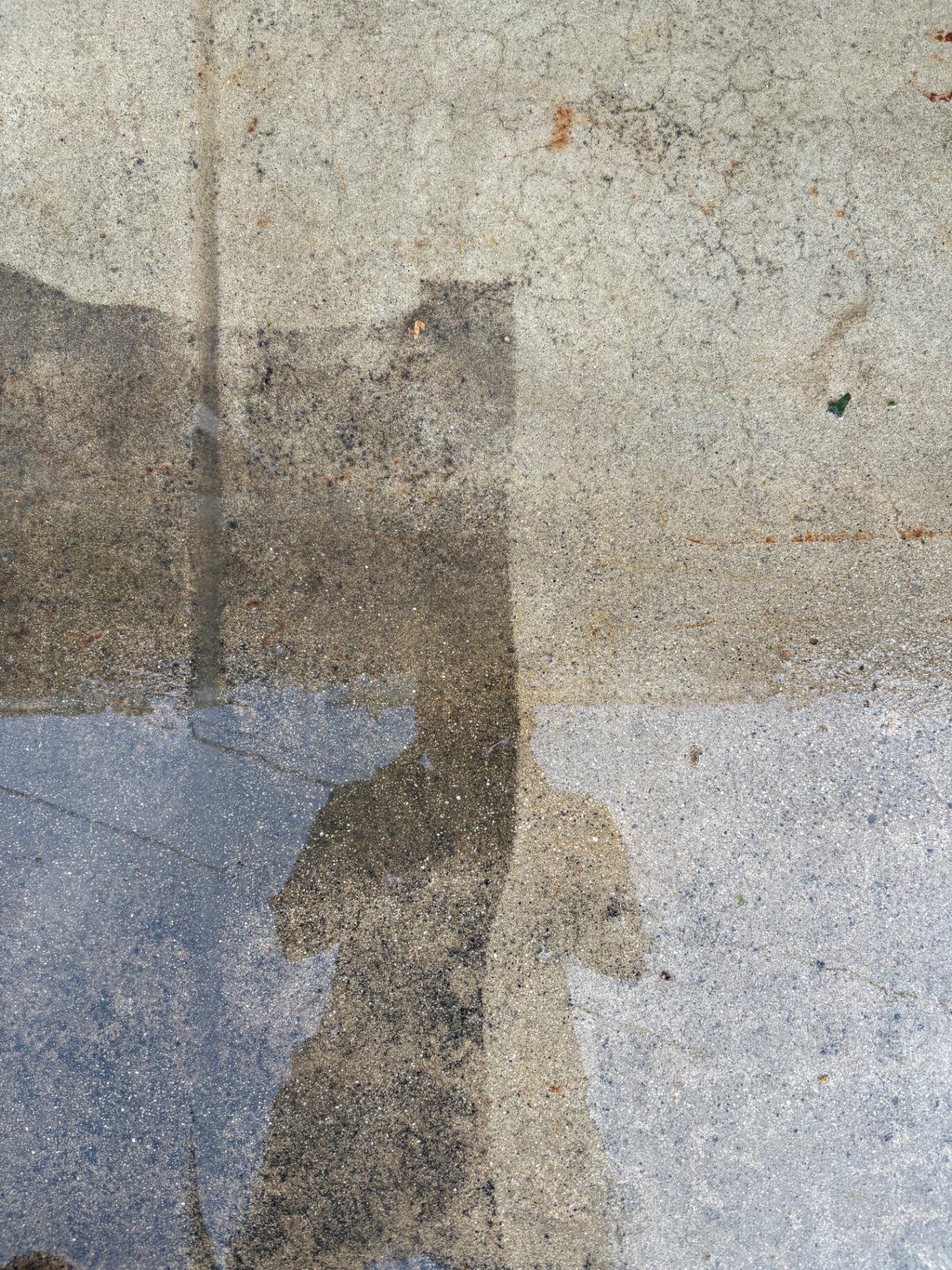 BlueJet pressure washing before and after results